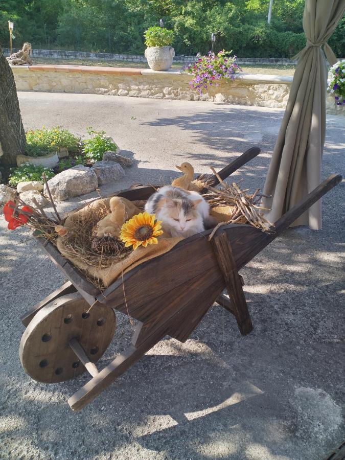 "Il Miglio" Country House Pettorano sul Gizio Zewnętrze zdjęcie